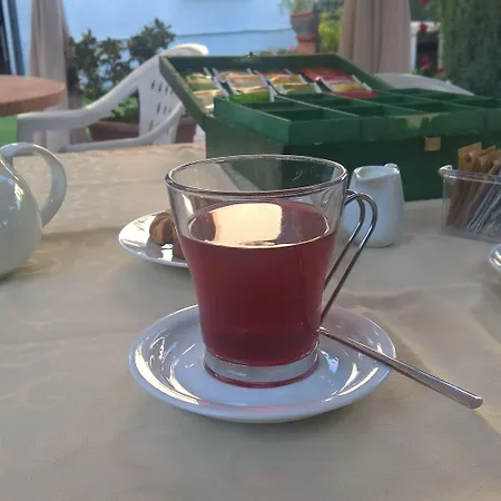 La Mimosa 루카