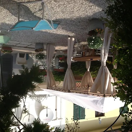 B&B La Mimosa 루카